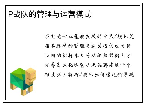 P战队的管理与运营模式